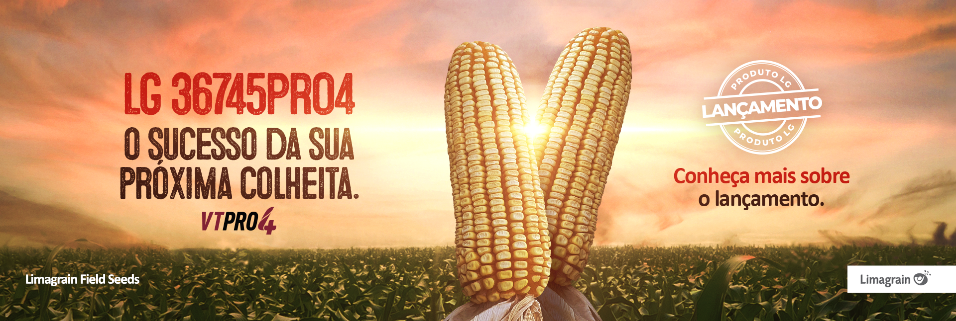 BANNER-SITE-LG-SEMENTES